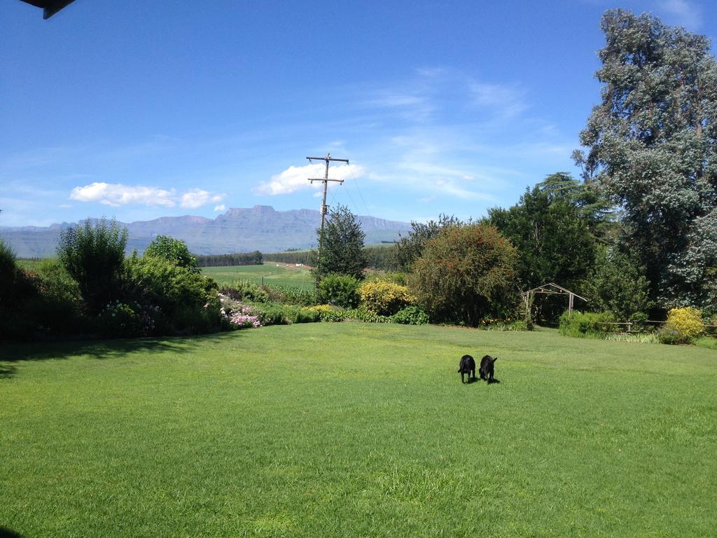 Little Acres Drakensberg Accommodation Champagne Valley Exterior foto
