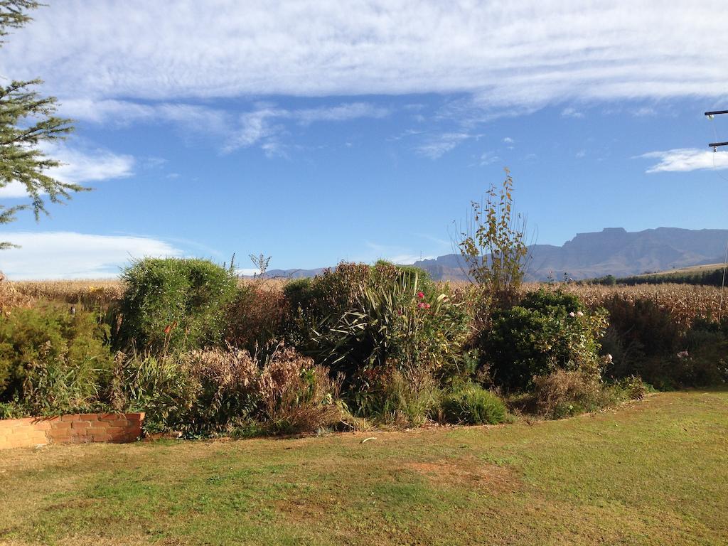 Little Acres Drakensberg Accommodation Champagne Valley Exterior foto