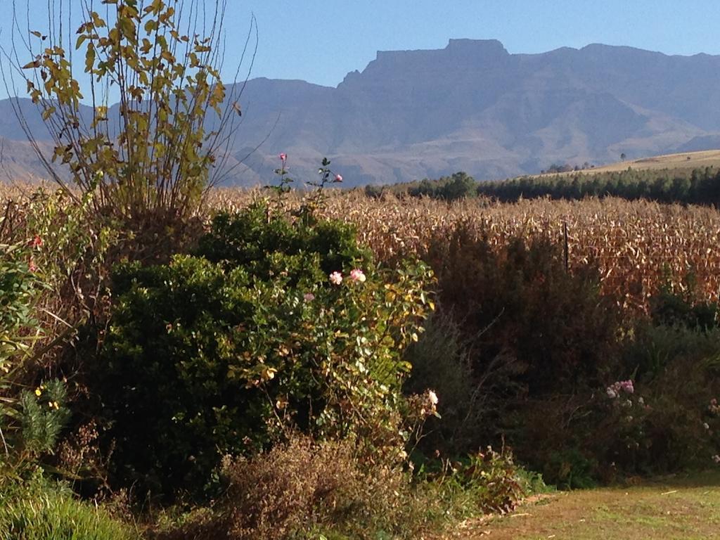 Little Acres Drakensberg Accommodation Champagne Valley Exterior foto